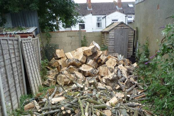 We sectionally felled the horse chestnut avoiding damage to surrounding properties