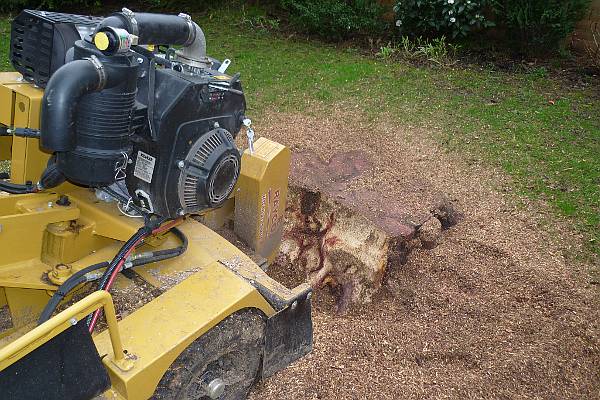 A stump grinder will make short work of your unwanted tree stumps, tidying up your garden